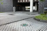 ポケモンマンホール（サルノリ・ワタシラガ）