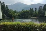 金鱗湖