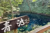 青池