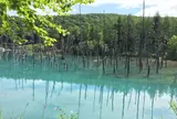青い池
