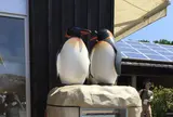 旭川市旭山動物園