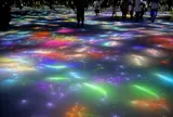 チームラボプラネッツ TOKYO (teamLab Planets TOKYO) DMM