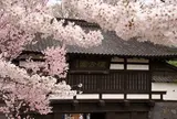 懐古園