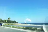 太平洋ロングビーチ