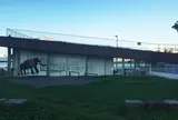 象の鼻パーク
