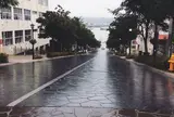 八幡坂