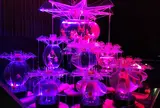 アートアクアリウム