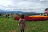 麓郷展望台