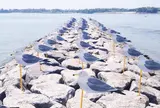 大浦海水浴場
