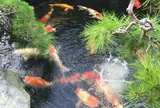 春花園