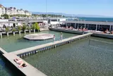 Bains des Pâquis