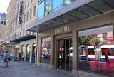 Bongénie