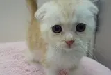 ZOO恵比寿