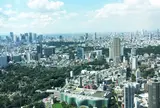 森美術館