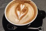 アンモナイト コーヒーマーケット