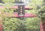 来宮神社(来宮神社停留所)