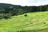 大山千枚田