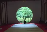 明月院（あじさい寺）