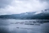 宮島