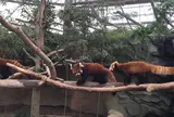 神戸どうぶつ王国