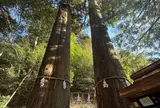 丹生川上神社 中社 相生の大杉