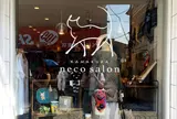 鎌倉ねこサロン KAMAKURA neco salon