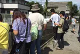 観音川なまずスポット
