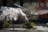 水無瀬神宮境内社 柿本神社