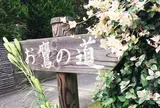 お鷹の道・真姿の池湧水群