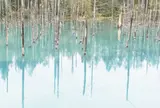 青い池