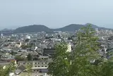 公園から見る景色