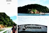 猿島