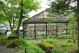 リスの森・飛騨山野草自然庭園