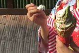 カランコロン京都 嵐山店