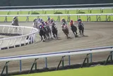 京都競馬場