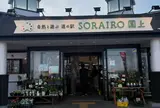 道の駅 SORAIRO国上 DAY CAMP
