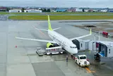 🌺宮崎ブーゲンビリア空港