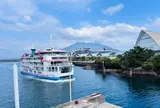 鹿児島港桜島ＦＴ（桜島フェリー）