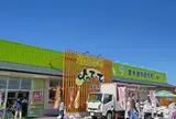 産直市場よってって泉南信達店