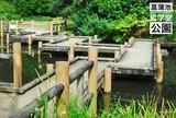 菖蒲池 哲学堂公園
