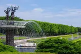 国営昭和記念公園