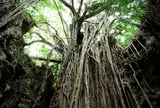 ガンガラーの谷