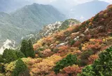 御在所岳