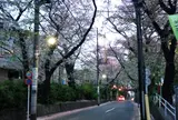 桜坂