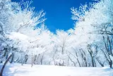 御在所岳樹氷