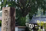 了徳寺の御葉附銀杏