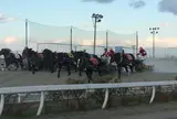 帯広競馬場（ばんえい十勝）