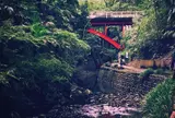等々力渓谷