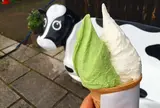 松ぼっくり