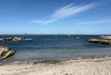 ジャンボリー浜